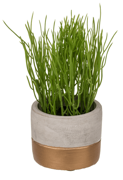 Decoration herbs in grey/gold coloured cement pot,