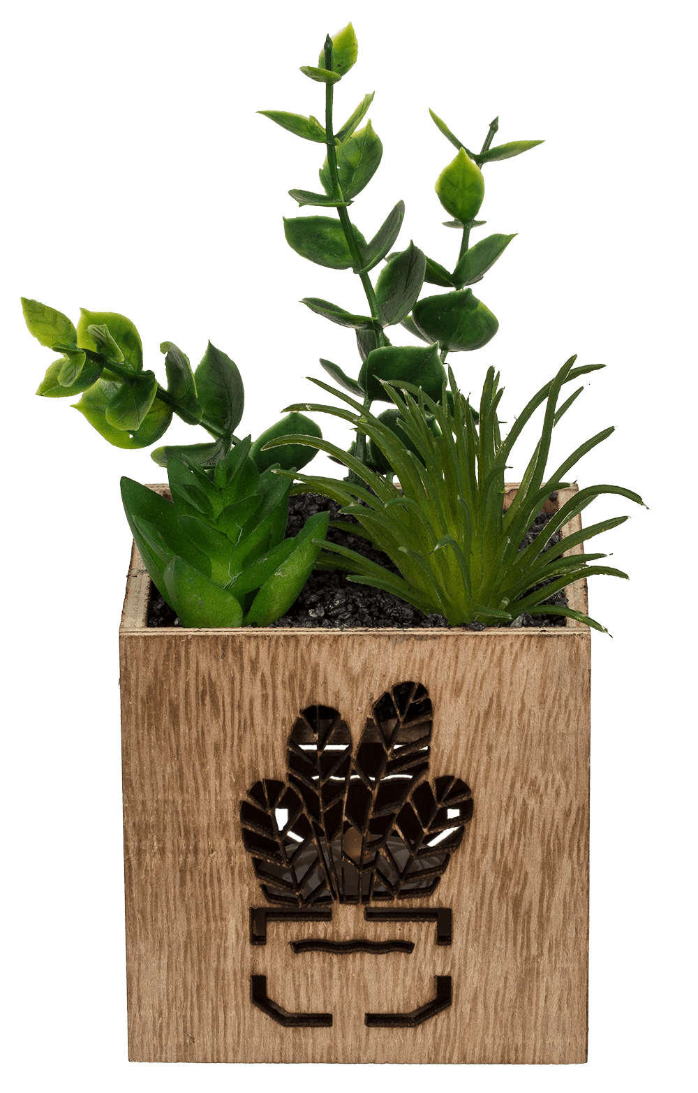 Deco Succulent,