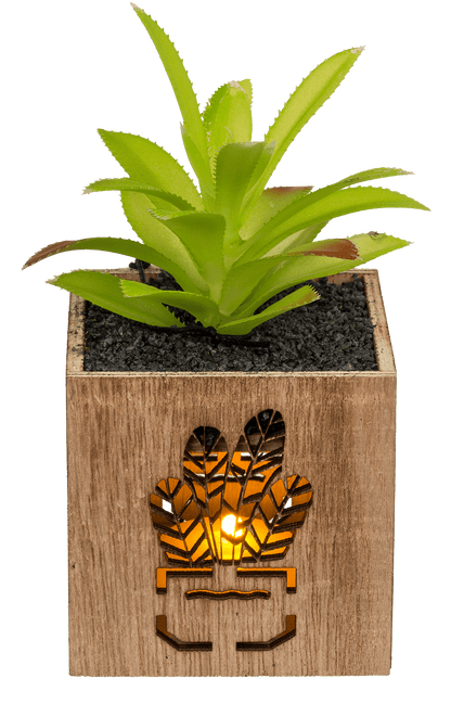 Deco Succulent,