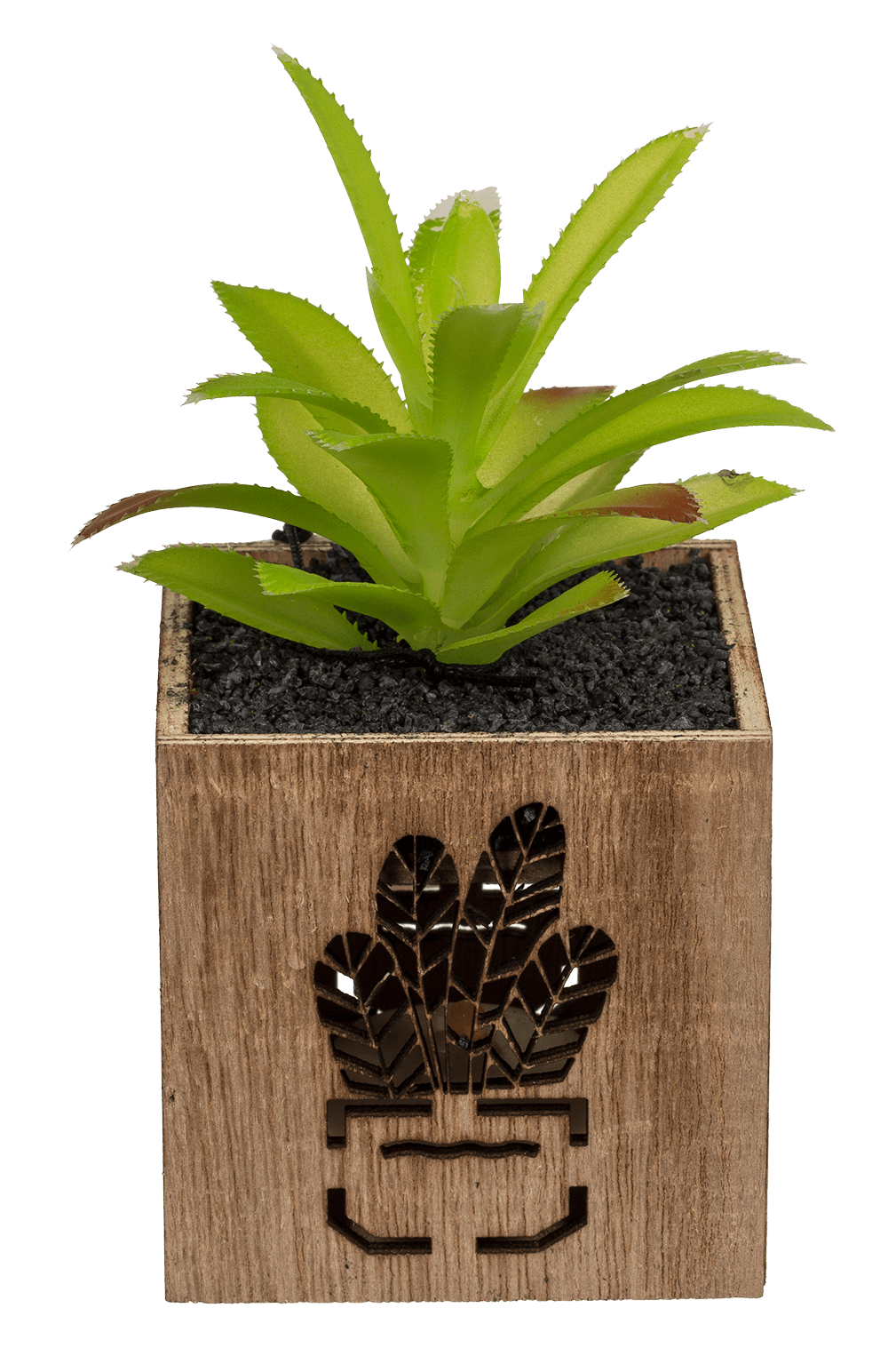 Deco Succulent,