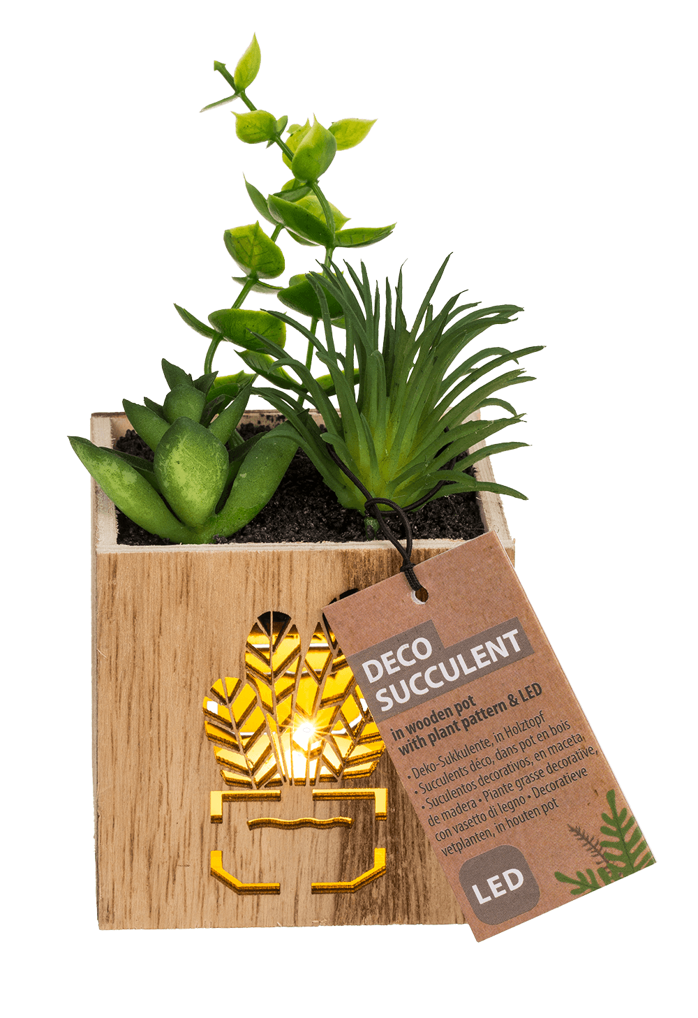 Deco Succulent,