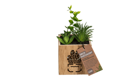 Deco Succulent,