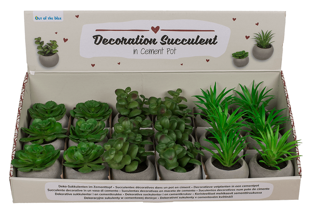 Deco succulent in cement pot,