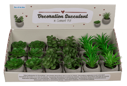 Deco succulent in cement pot,