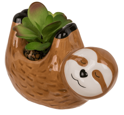 Deco succulents in ceramic pot,