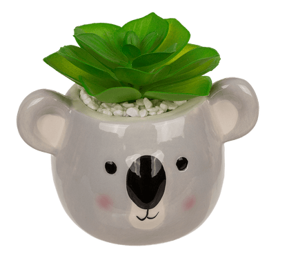 Deco succulents in ceramic pot,