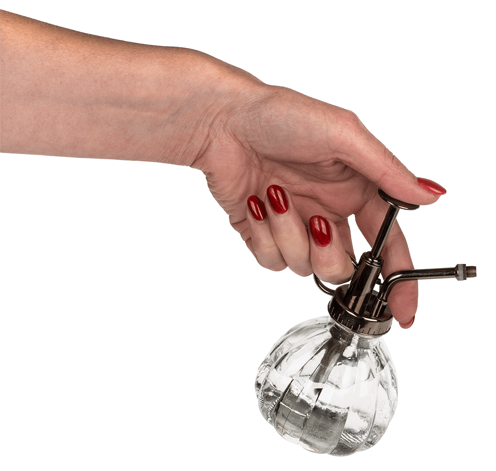 Anthracite coloured glass plant mister,