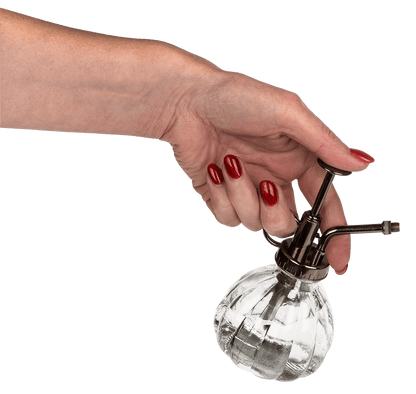 Anthracite coloured glass plant mister,