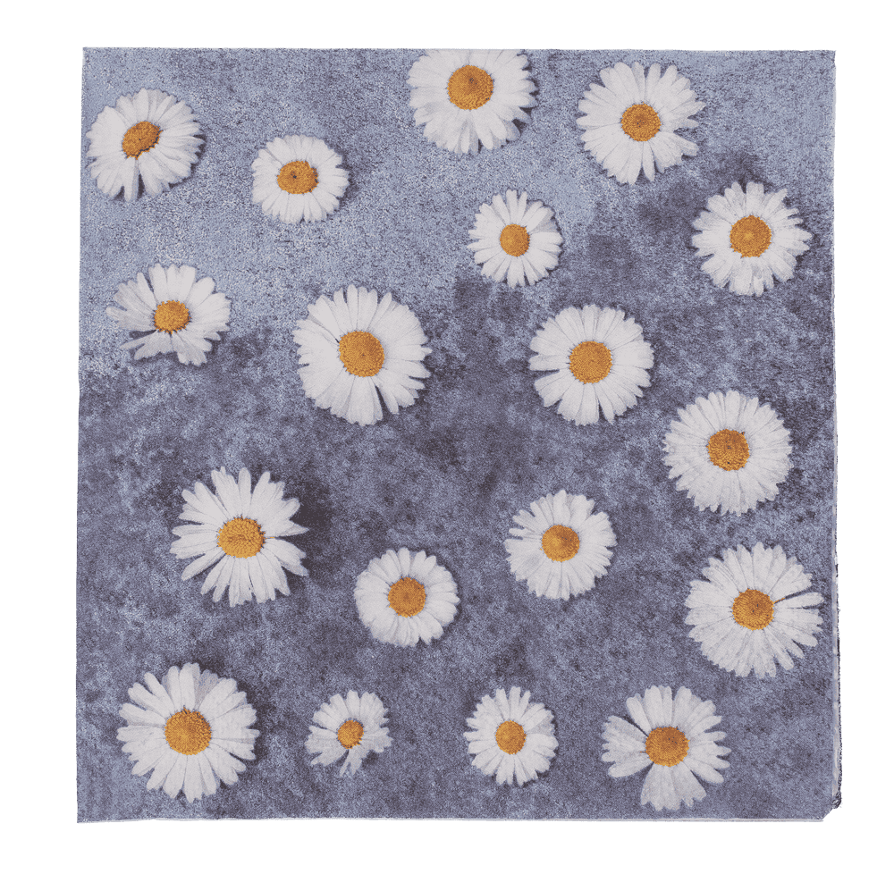 Paper napkins, Daisy Flowers,