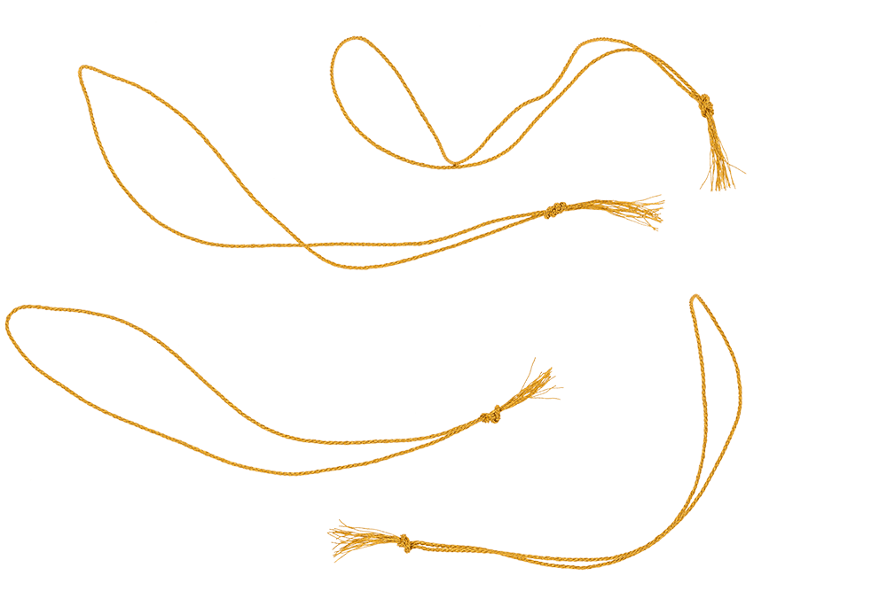 Portrait tree ball, with photo sticky pad &