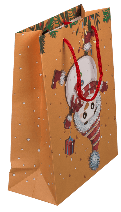 Paper gift bag, Ooops....,