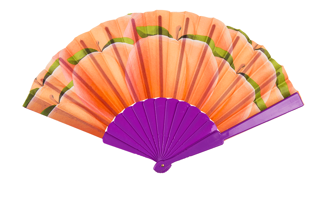 Plastic fan, fruits,
