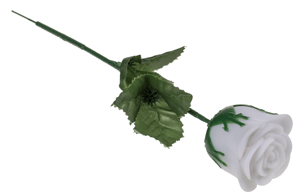 White plastic rose with colour changing LED