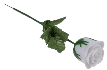 White plastic rose with colour changing LED