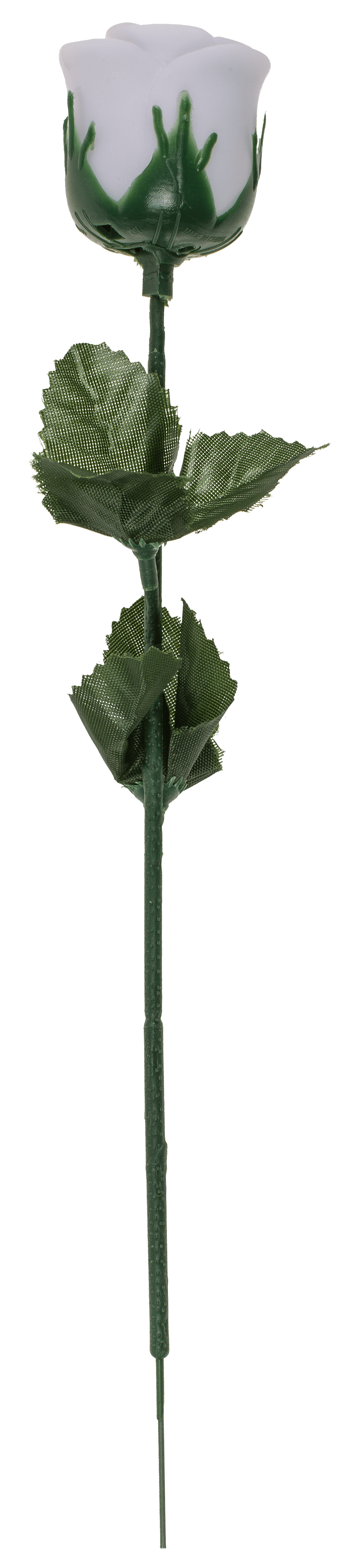 White plastic rose with colour changing LED