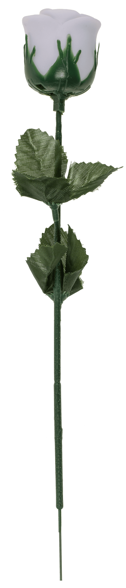 White plastic rose with colour changing LED