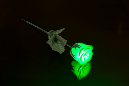 White plastic rose with colour changing LED