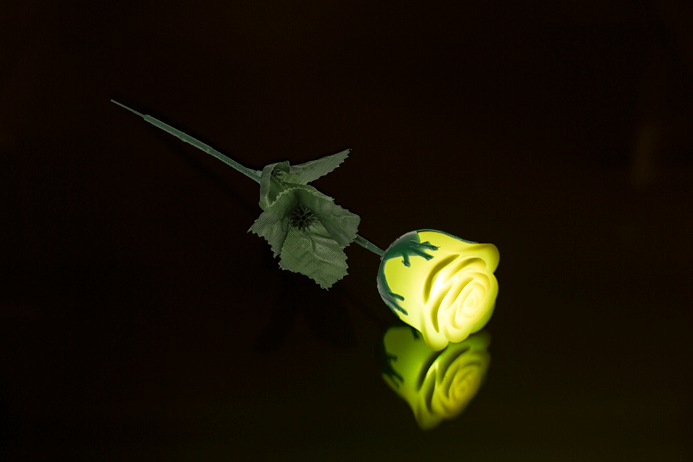 White plastic rose with colour changing LED