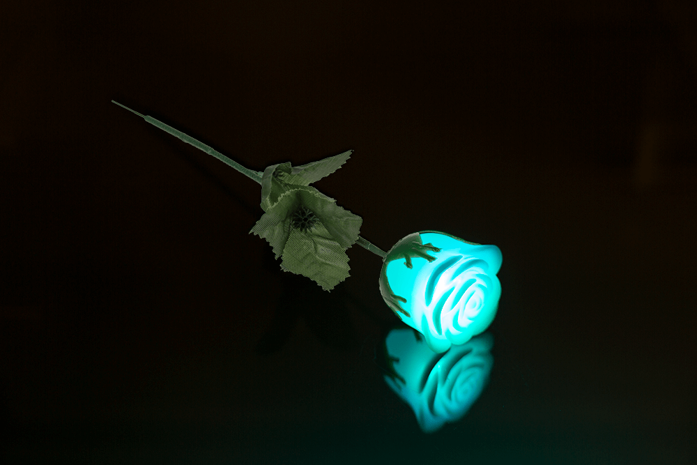 White plastic rose with colour changing LED
