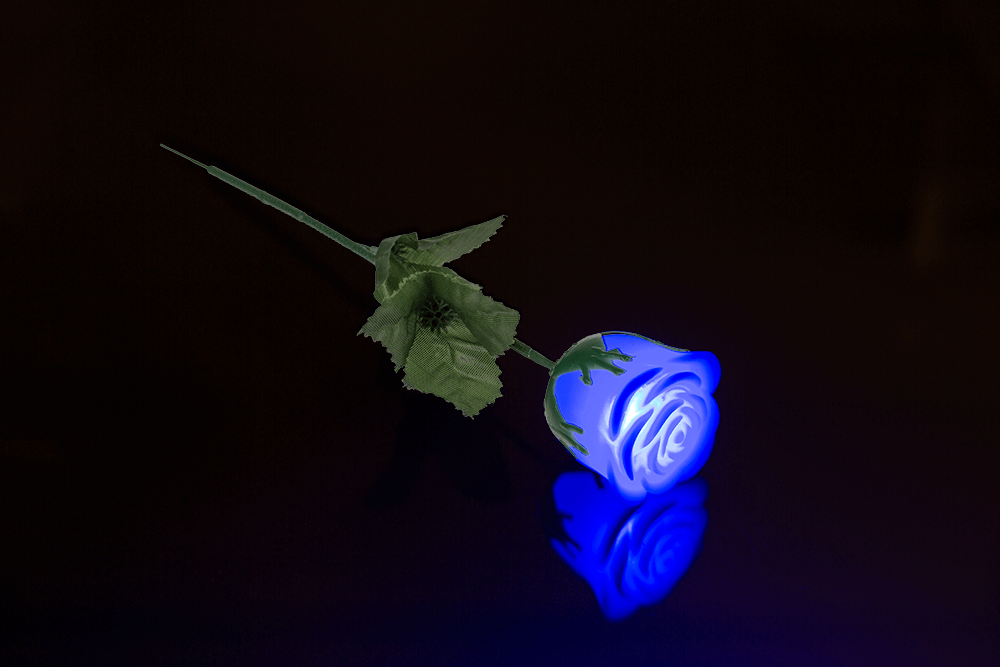 White plastic rose with colour changing LED
