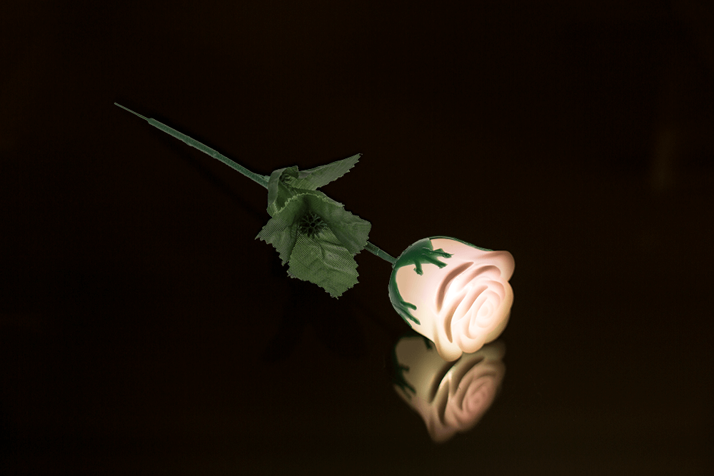 White plastic rose with colour changing LED