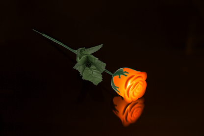 White plastic rose with colour changing LED