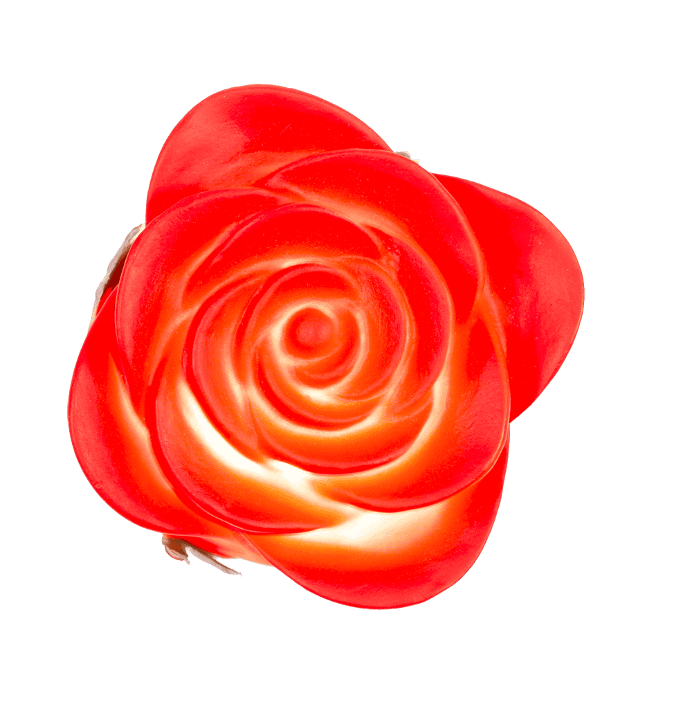 Red plastic rose with colour changing LED (incl.,