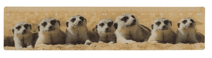 Ruler, Wildlife, 21 x 4,5 cm,