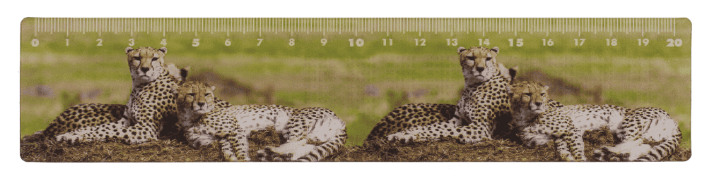 Ruler, Wildlife, 21 x 4,5 cm,
