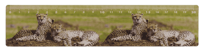 Ruler, Wildlife, 21 x 4,5 cm,