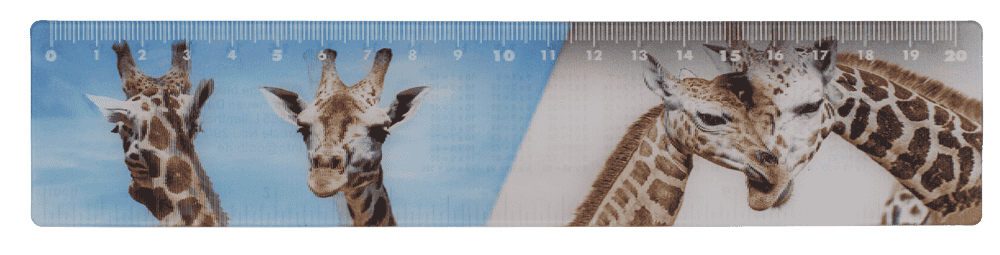 Ruler, Wildlife, 21 x 4,5 cm,