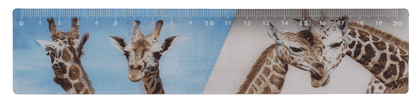 Ruler, Wildlife, 21 x 4,5 cm,