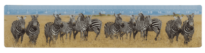 Ruler, Wildlife, 21 x 4,5 cm,