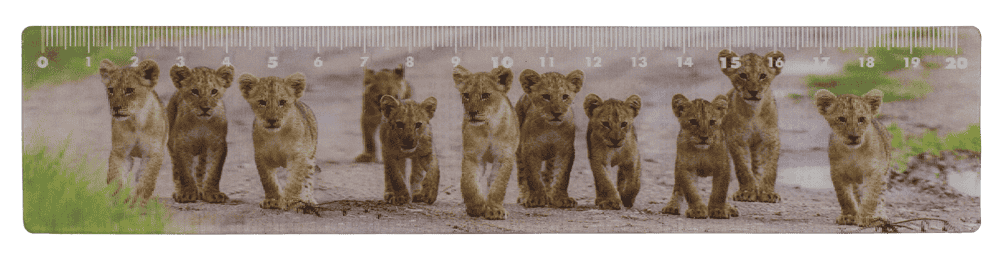 Ruler, Wildlife, 21 x 4,5 cm,