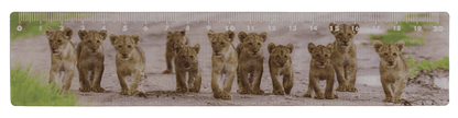 Ruler, Wildlife, 21 x 4,5 cm,