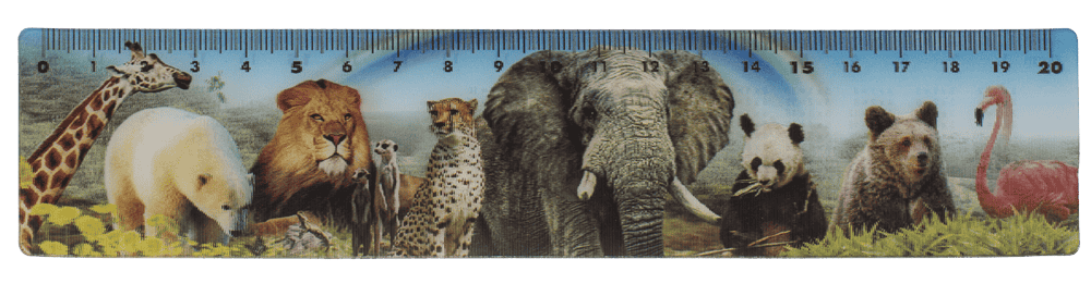 Ruler, Wildlife, 21 x 4,5 cm,