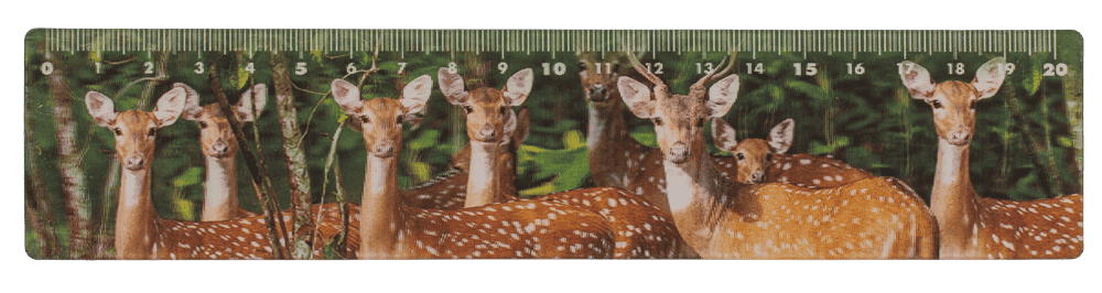 Ruler, Wildlife, 21 x 4,5 cm,