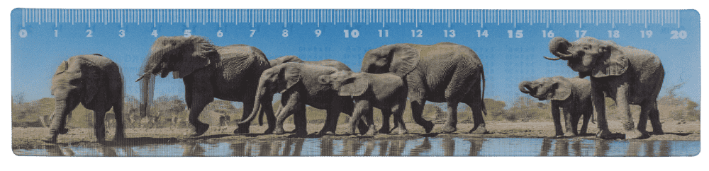 Ruler, Wildlife, 21 x 4,5 cm,
