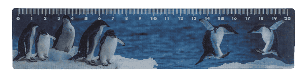 Ruler, Sealife, 21 x 4,5 cm,