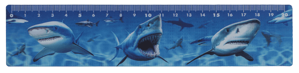 Ruler, Sealife, 21 x 4,5 cm,