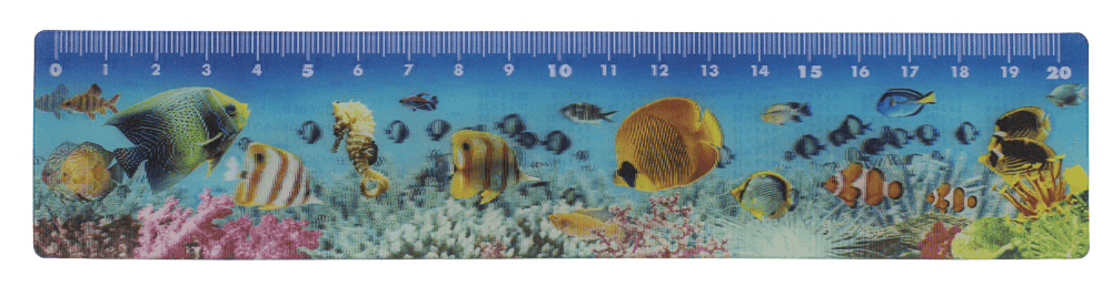 Ruler, Sealife, 21 x 4,5 cm,