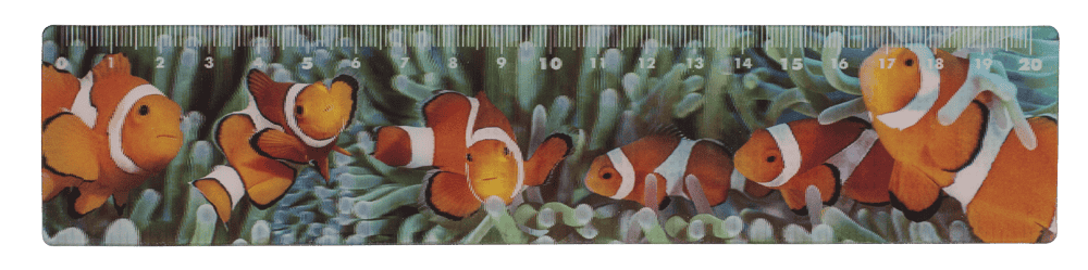 Ruler, Sealife, 21 x 4,5 cm,