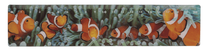 Ruler, Sealife, 21 x 4,5 cm,