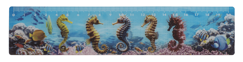 Ruler, Sealife, 21 x 4,5 cm,