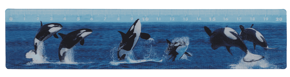 Ruler, Sealife, 21 x 4,5 cm,
