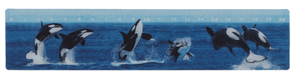 Ruler, Sealife, 21 x 4,5 cm,