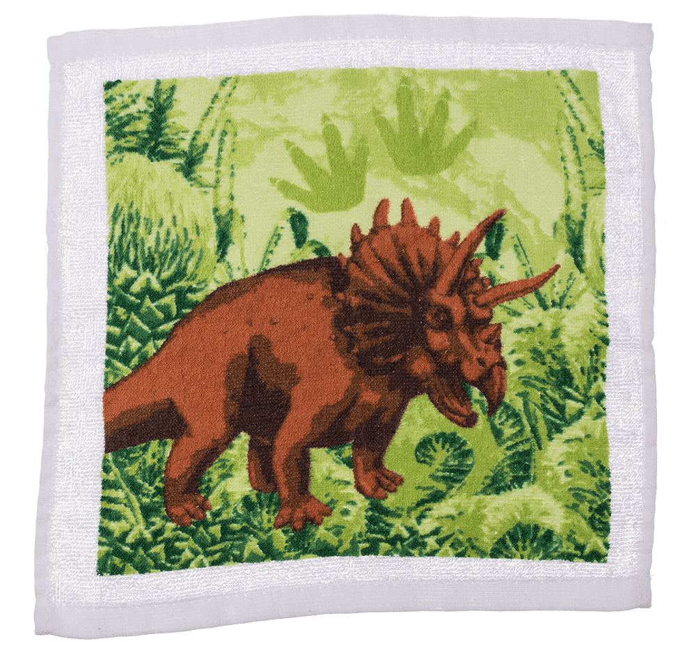 Magic cotton towel, Dinosaur,