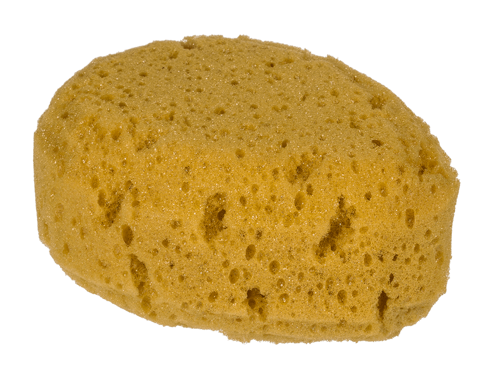 Bath sponge, in net for hanging,