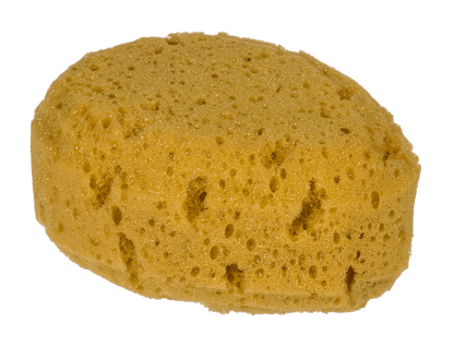 Bath sponge, in net for hanging,
