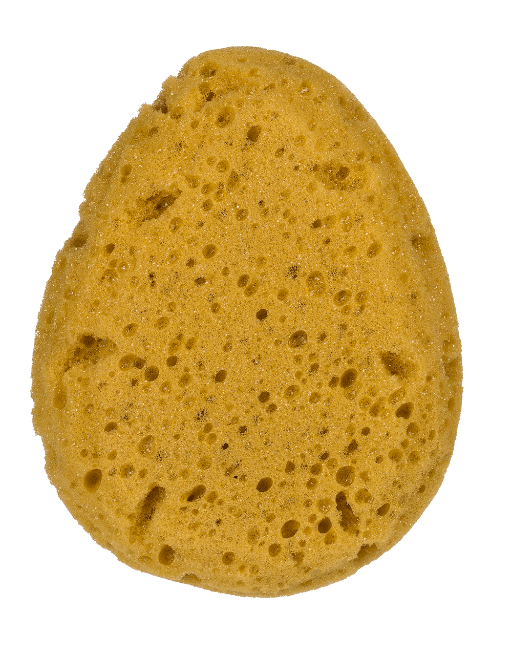 Bath sponge, in net for hanging,